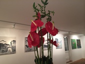 Swiss Chinese Artist David MA, DAVID MA ART - EXHIBITION, CASA DEL ARTE, 18.-23.11.14, Vernissage